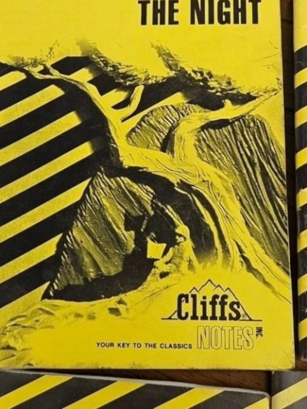 Vintage Cliffs Notes Booklets Set of 9 – Classic Literature Study Guides